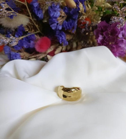 Bague en acier inoxydable - Porto