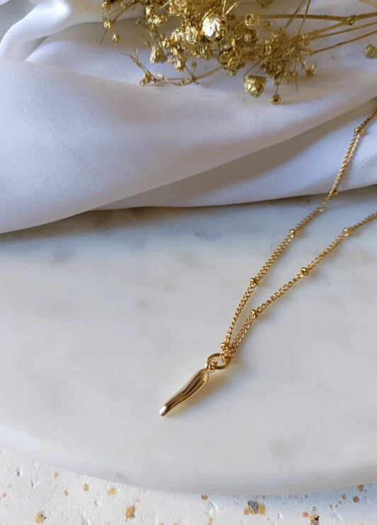 Collier en acier inoxydable - Piment