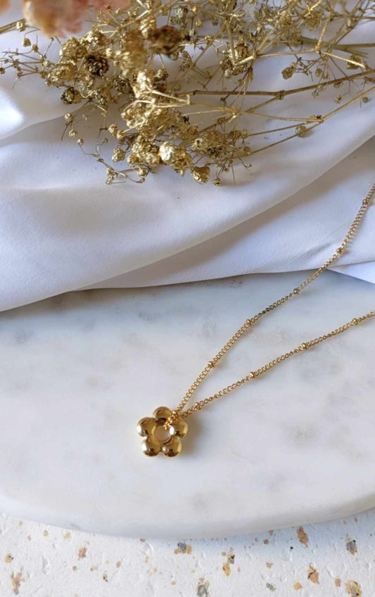 Collier en acier inoxydable - Anémone