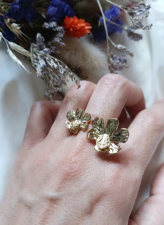 Bague en acier inoxydable - Loulou