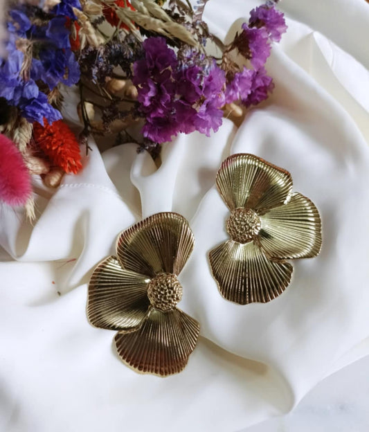 Boucles en acier inoxydable - Aliéna