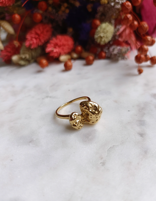 Bague en acier inoxydable - Corinne