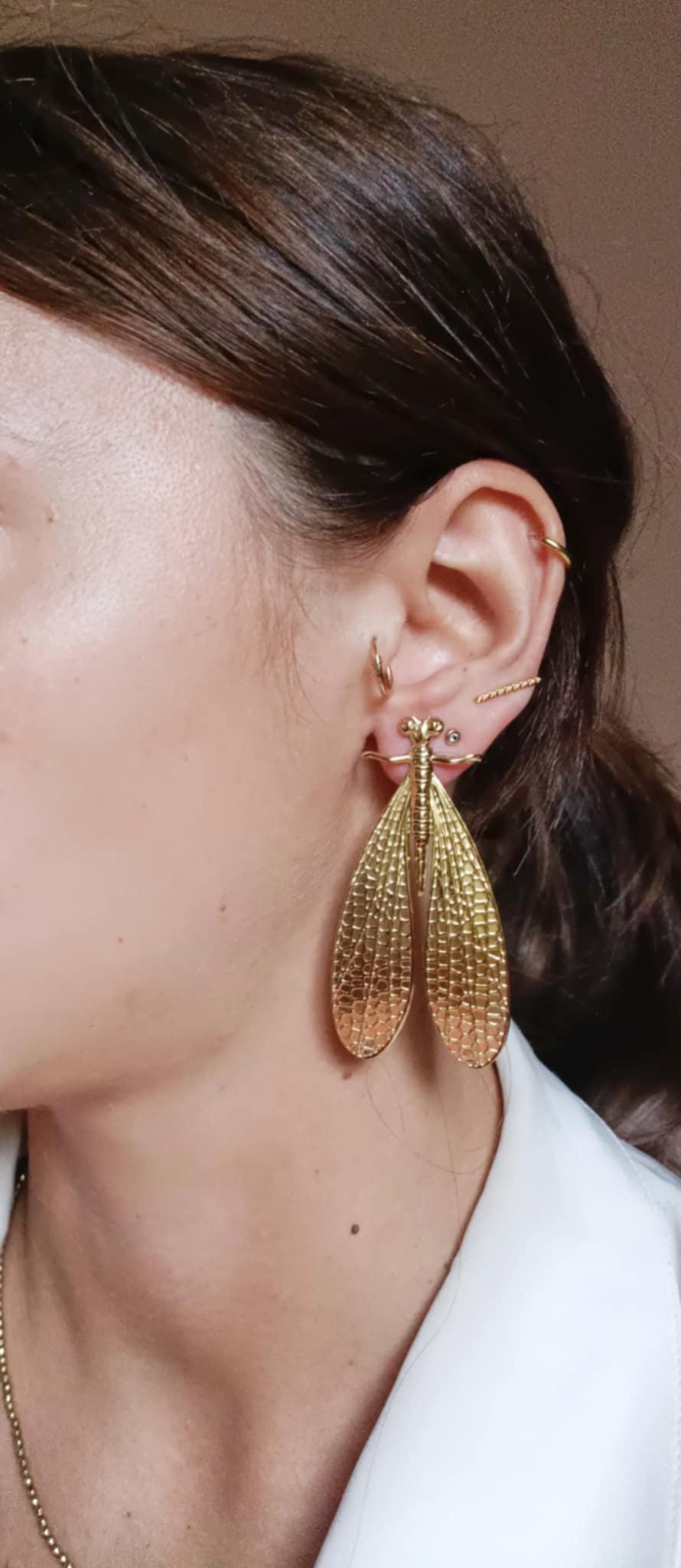 Boucles d'oreilles en acier inoxydable - Mimose