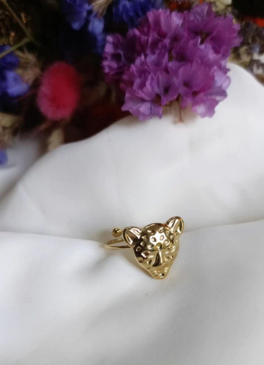 Bague en acier inoxydable - Léo