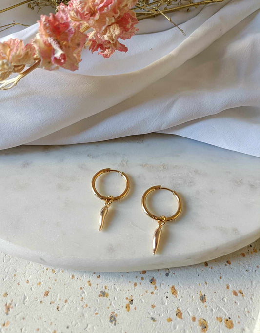 Boucles d'oreilles en acier inoxydable - Pimenté
