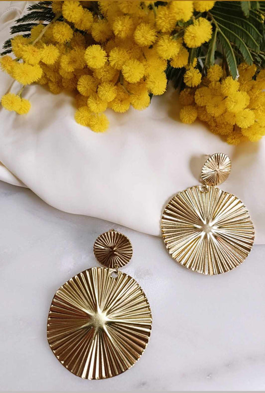 Boucles d'oreilles en acier inoxydable-Ana