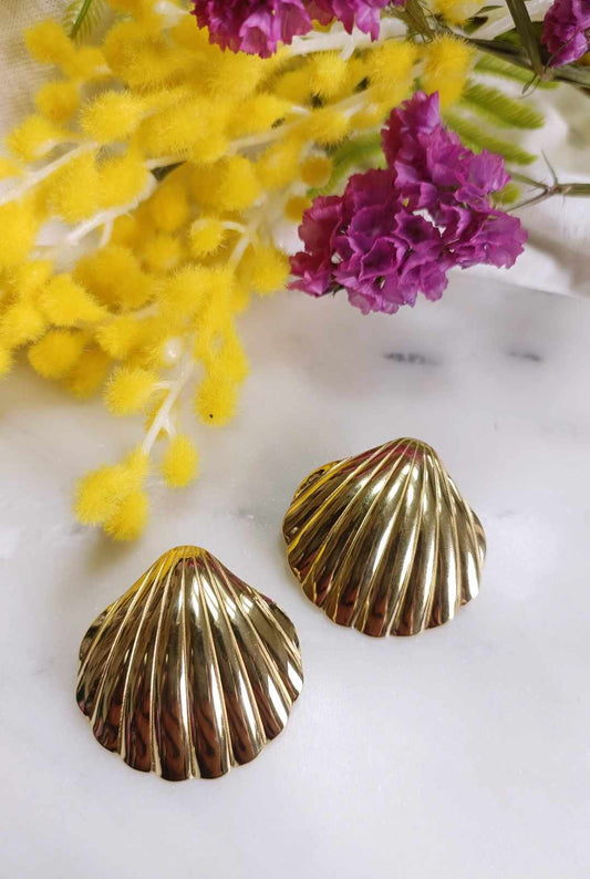 Boucles d'oreilles en acier inoxydable - Coquillage