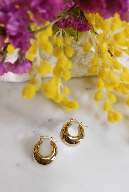 Boucles d'oreilles en acier inoxydable - Milo