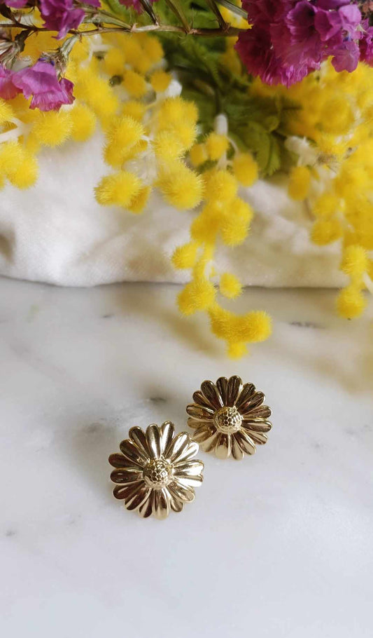 Boucles d'oreilles en acier inoxydable - Marguerita
