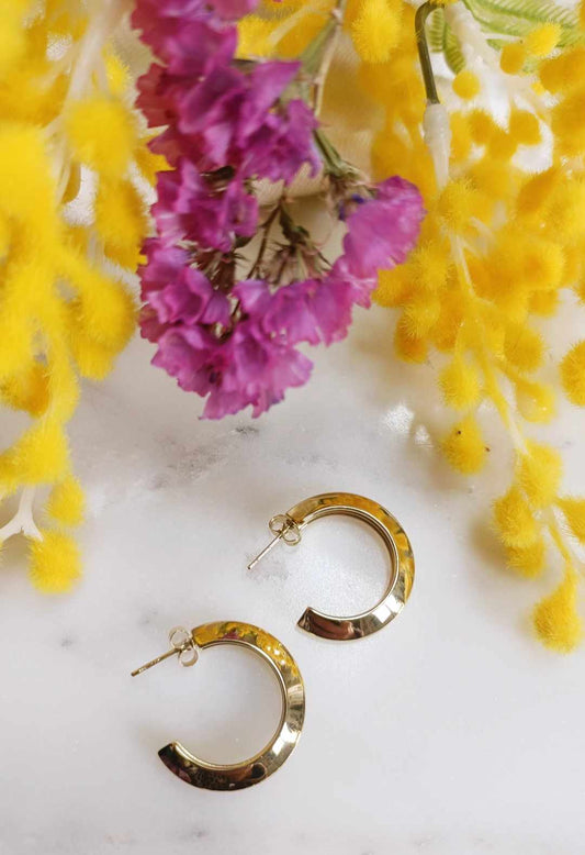 Boucles en acier inoxydable - Bichette