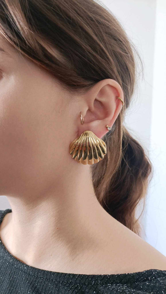 Boucles d'oreilles en acier inoxydable - Coquillage