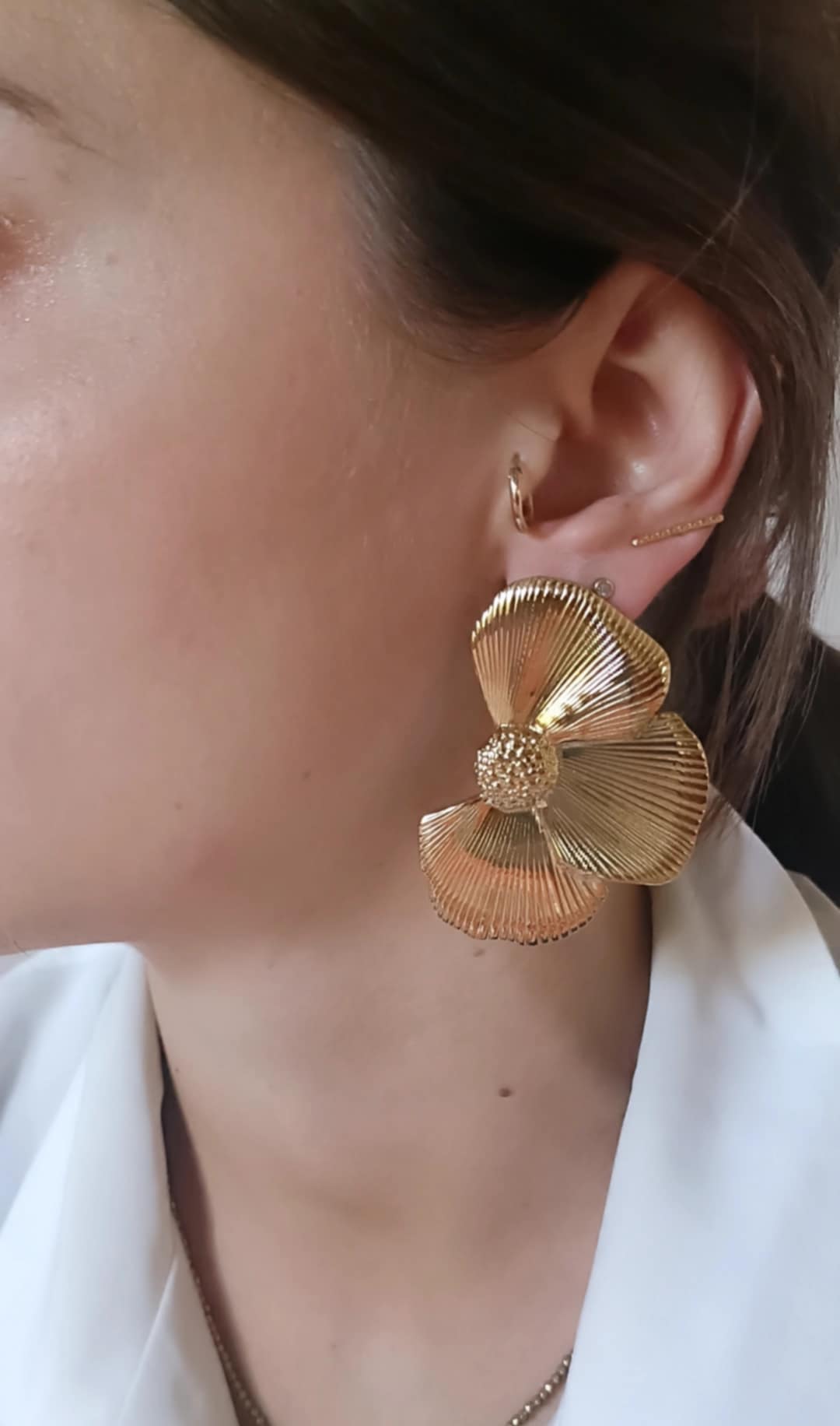 Boucles en acier inoxydable - Aliéna