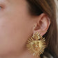 Boucles en acier inoxydable - Sacremento